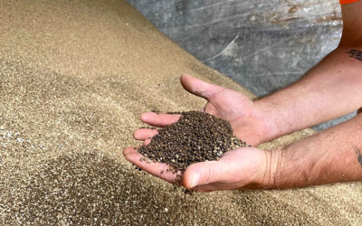 China expected to stop phosphate exports, food production prices set to rise – ABC News