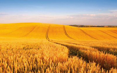 National overview – Department of Agriculture