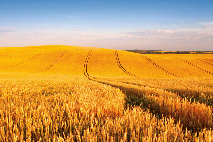 National overview – Department of Agriculture